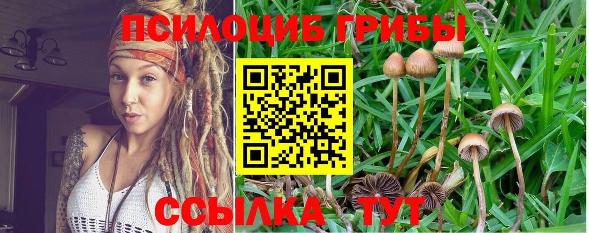 Галлюциногенные грибы MAGIC MUSHROOMS Верхняя Пышма